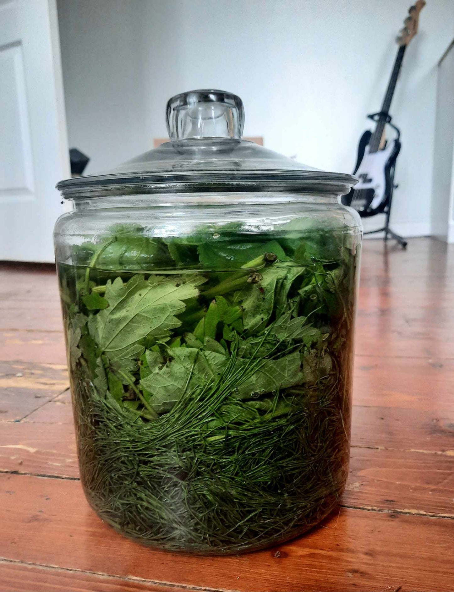 Elixir fortifiant capillaire