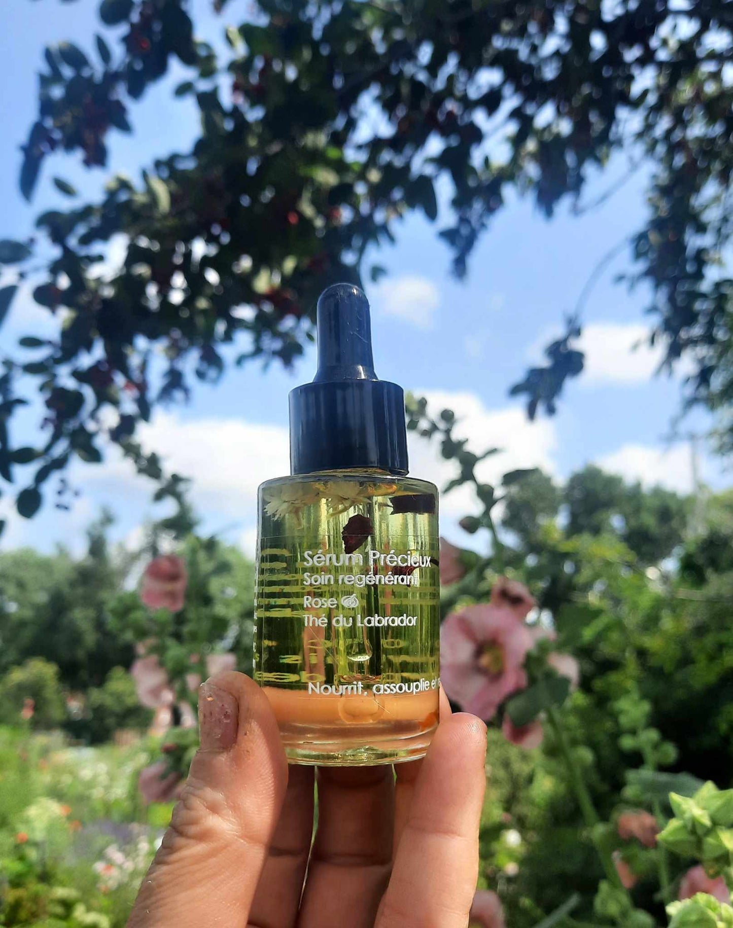 VISAGE – Sérum précieux – Rose & thé du Labrador