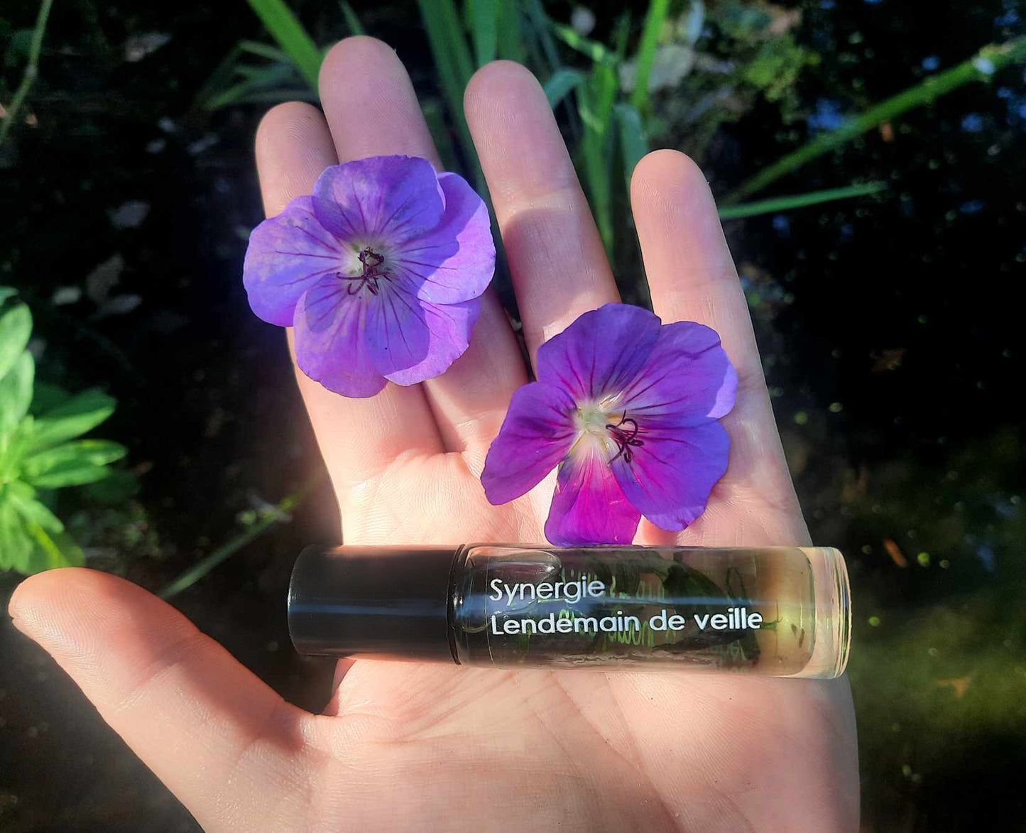 Synergie Lendemain de veille