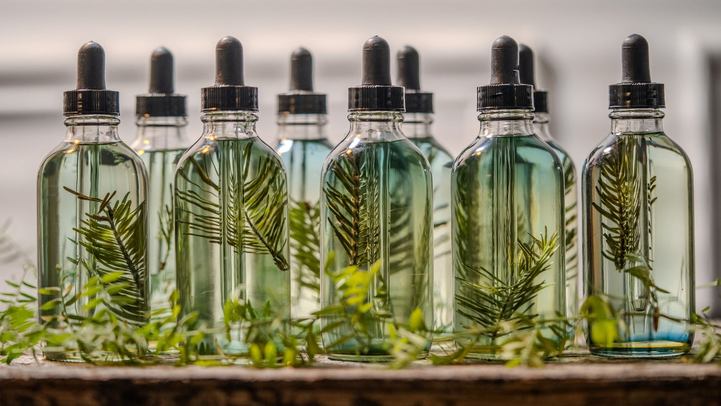 Huile infusée : épinette noire - Énergie