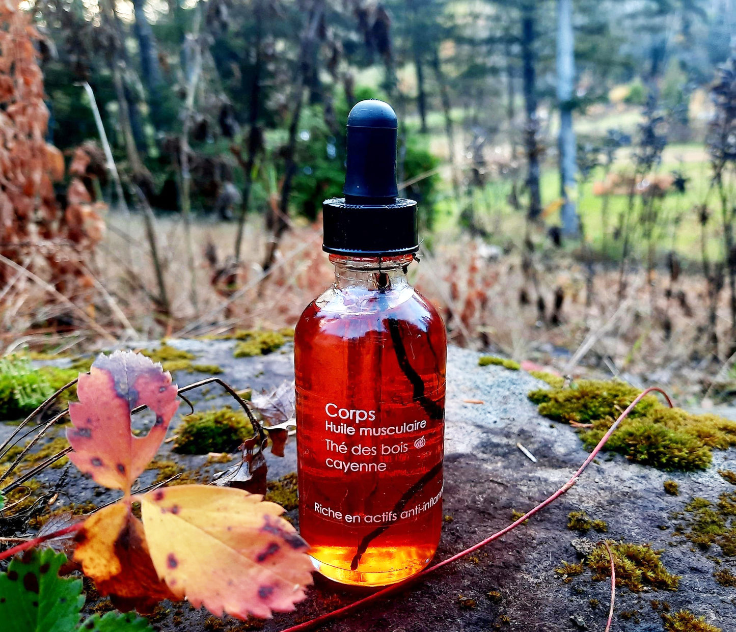 Huile musculaire : Thé des bois & Cayenne