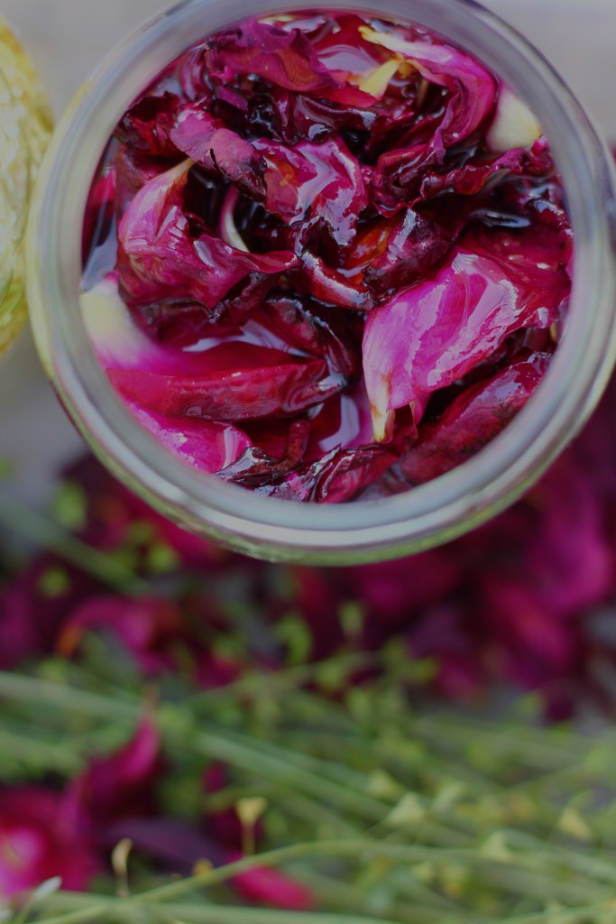 Huile infusée de rose – Massage · Corps · Bain