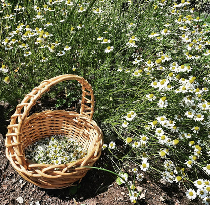 Petit baume Lueur-sommeil