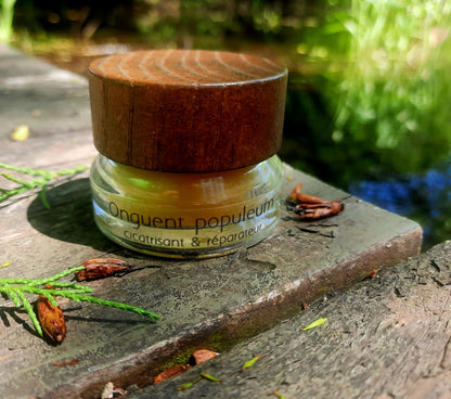 Onguent Populeum – boréal & réparateur