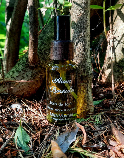 AURA BORÉALE– Brume de protection énergétique | Miss Marmite