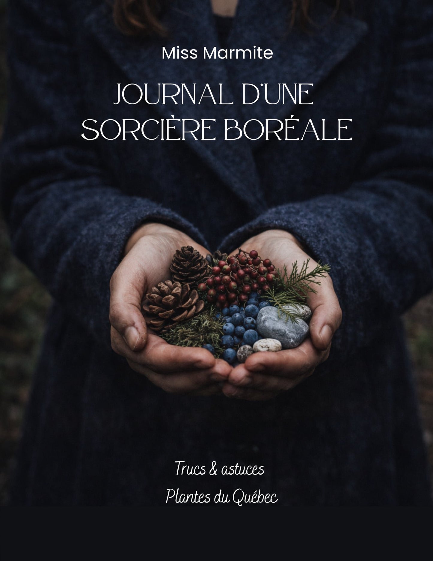 E-book Journal d'une sorcière boréale