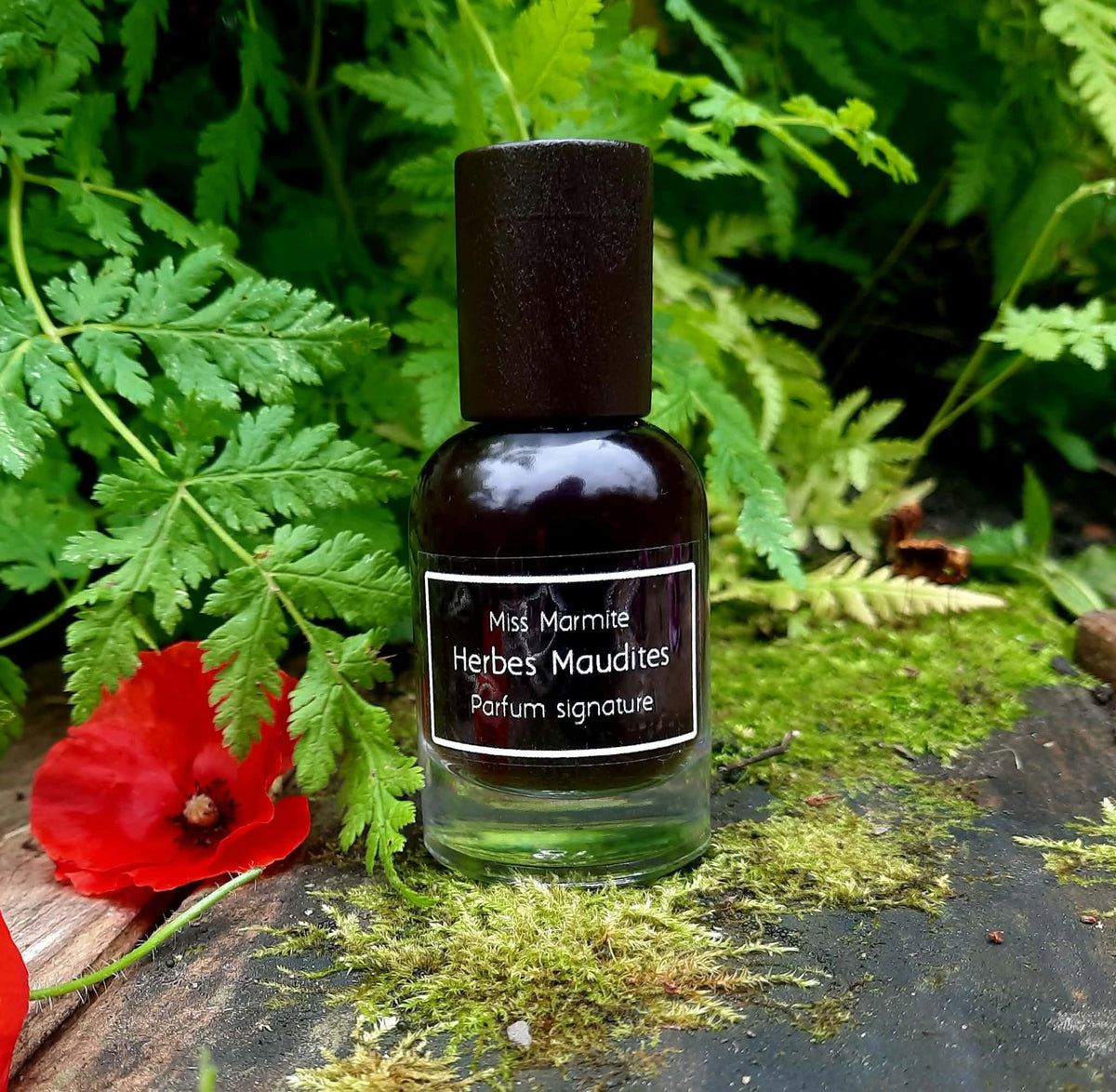 Parfum signature - Herbes Maudites